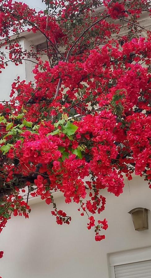 Stamatias Home, Fully Equipped 5 Minutes From The Sea * Χανιά